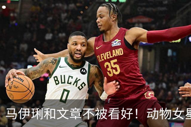 马伊琍和文章不被看好！动物女星的单身声明！
